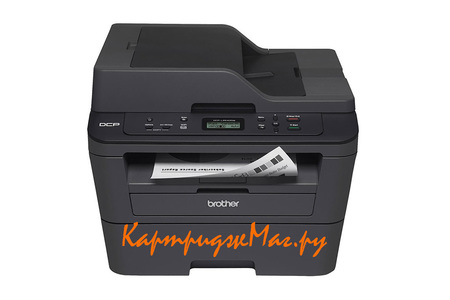 Заправка Brother DCP-L2540