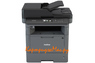 Заправка Brother DCP-L5500